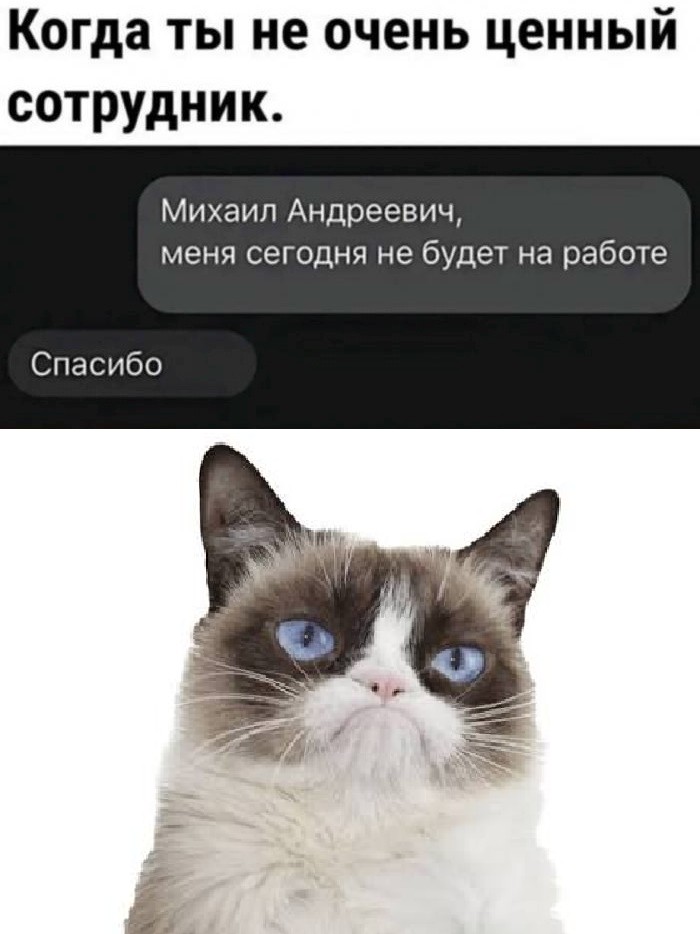 новикова надежда в LOOKY — публикация