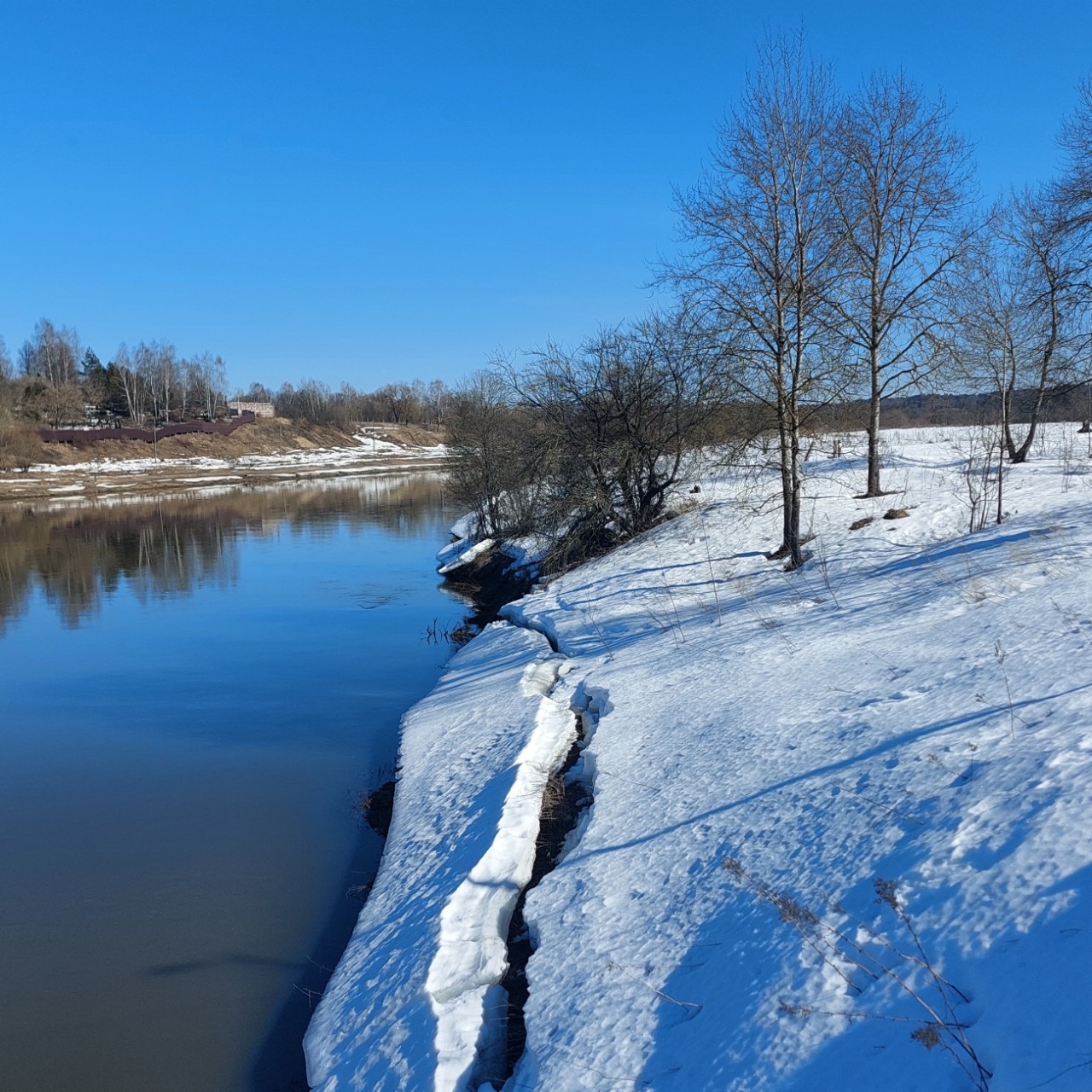 Галина Венн в LOOKY — фото 4