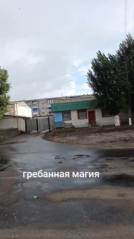 Looky_1719173186022 в LOOKY. . Природа