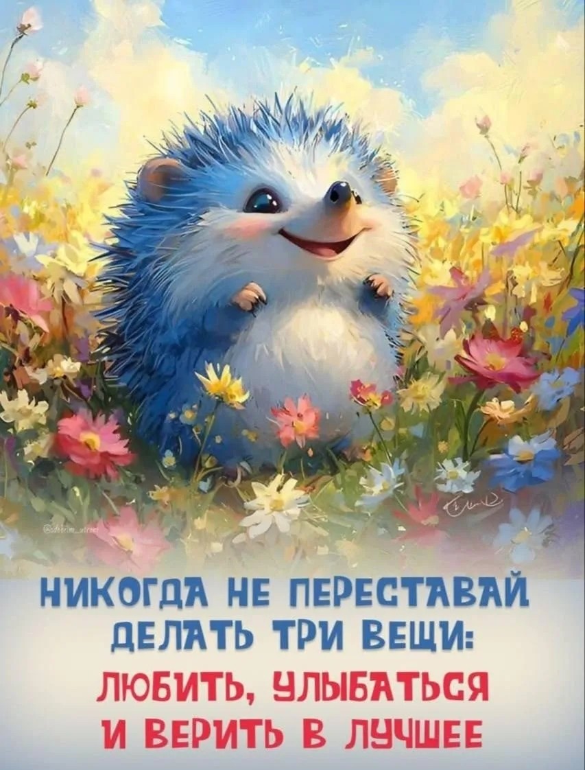 Looky_177435473367901 в LOOKY — публикация