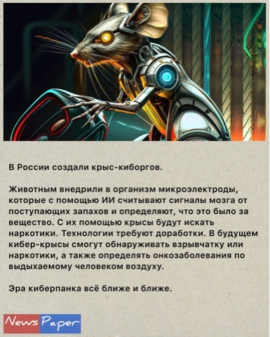 News Paper в LOOKY. #новости. #новости [#смешныено...