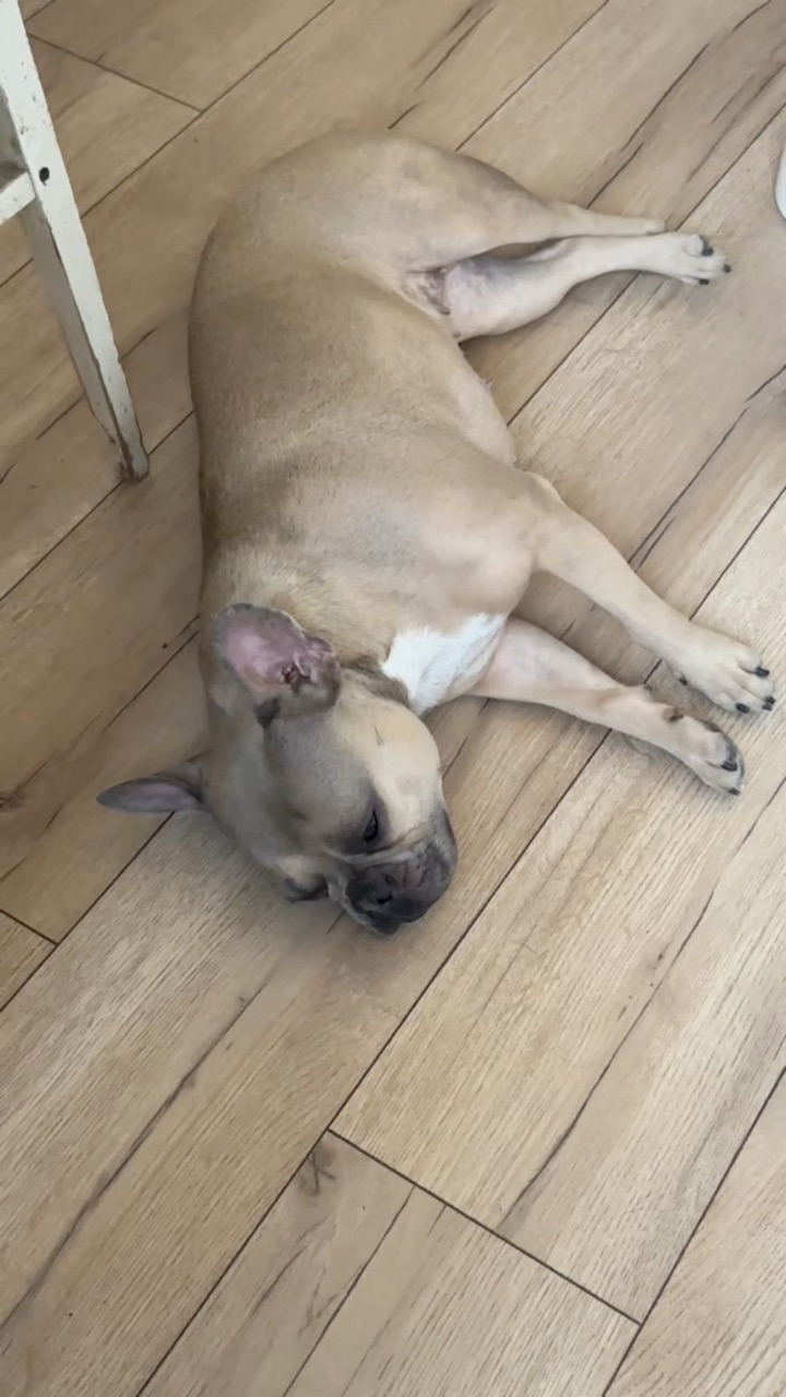 Зина и Майки in LOOKY. #150253274. Вы тоже считаете, чт...