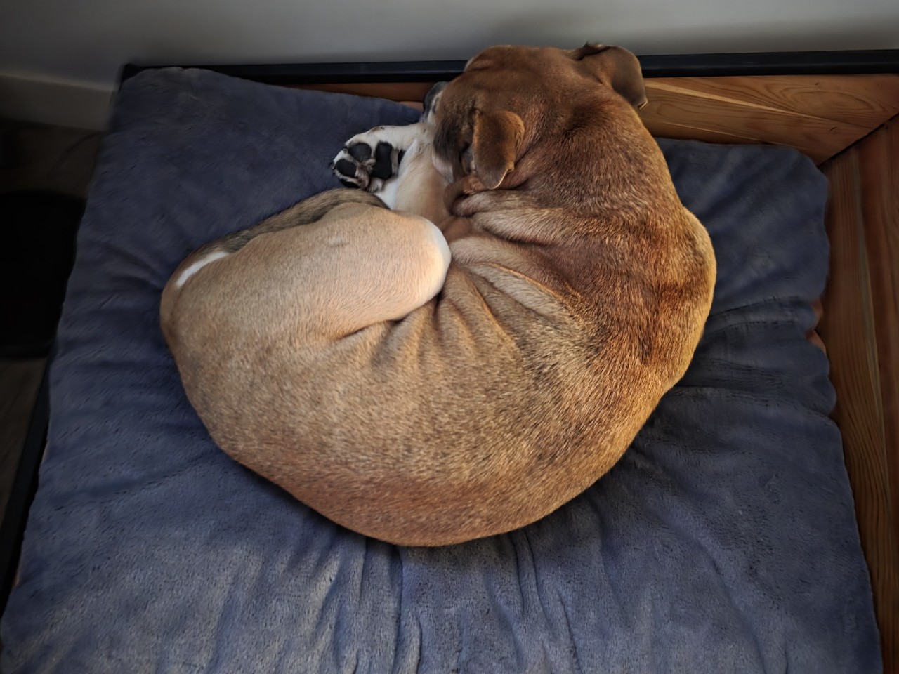 anbarinova в LOOKY — фото 2