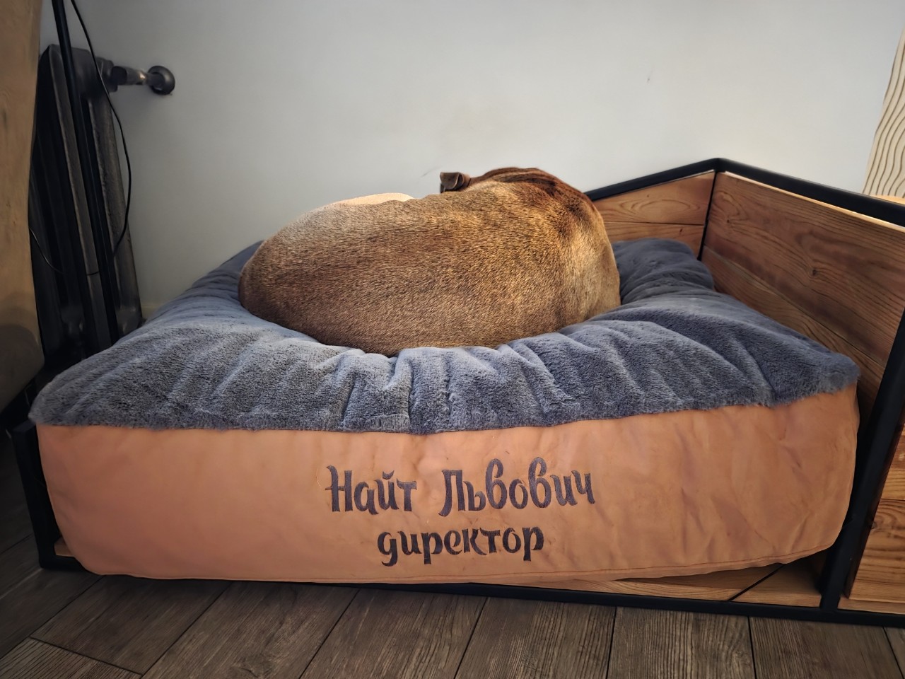 anbarinova в LOOKY. . Новый матрасик приех...