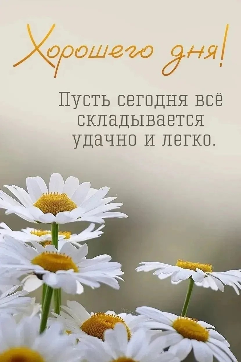 Татьяна Фадеева в LOOKY — публикация
