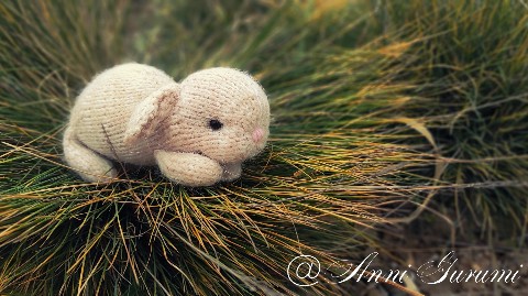 anna.volschebnaya в LOOKY. . Начинаем подготовку ...