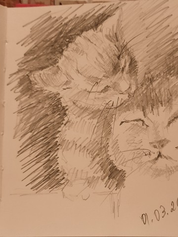 Marina_AM_art в LOOKY. . 