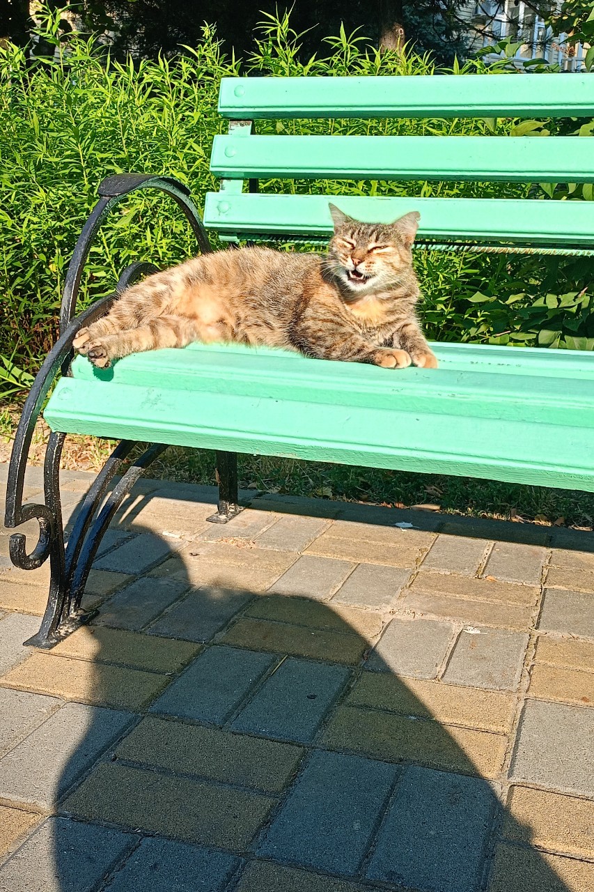 chocoValeriya22 в LOOKY — Пусть удача будет рядом всегда! 🍀