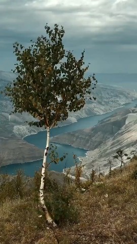 Looky73 в LOOKY — Большой Сулакский каньон, Дагестан🇷🇺