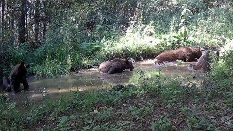 Водные процедуры 🐳.