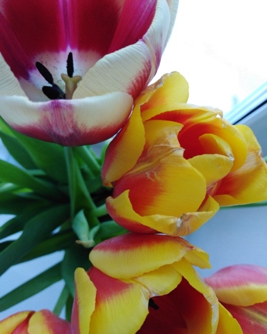 Looky_1708157980660 в LOOKY. . 
