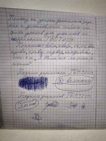 Святослав Пестов в LOOKY. . Что я сделал на урок...