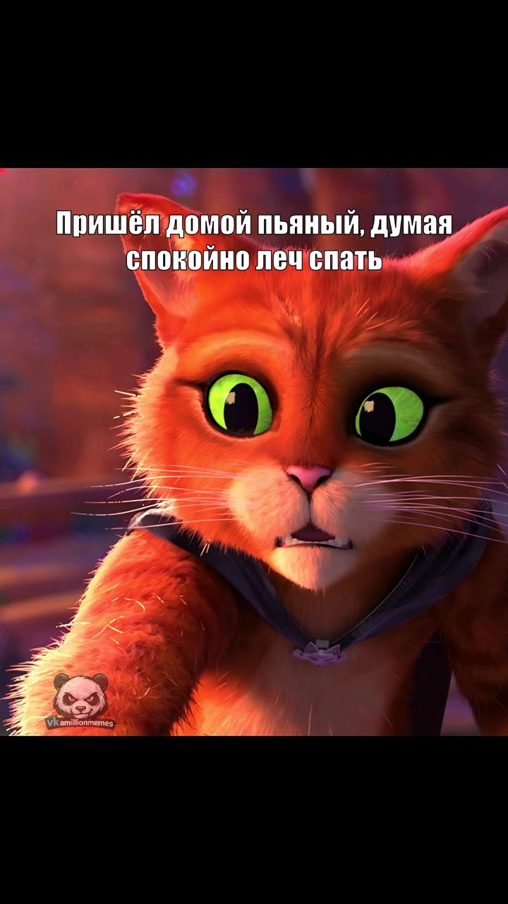 Миллион Мемов в LOOKY. . Бесстрашный 😱