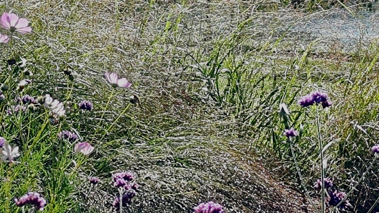 Kamenka в LOOKY — фото 2