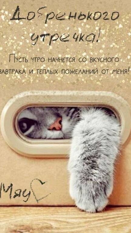 Доброе утро 😉
