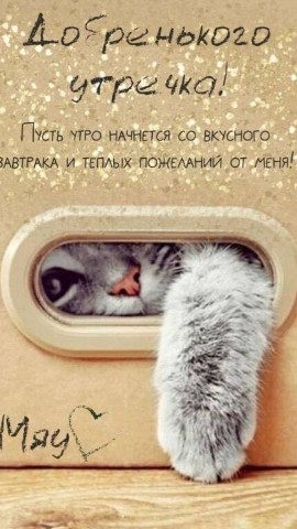 Альбина в LOOKY. . Доброе утро 😉