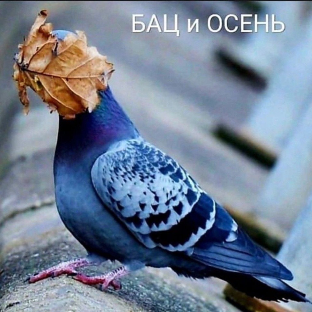 7 сентября 2026 г. 😂 Вот это я понимаю -  внезапность! 😂 [#sekret_natali ](sekret_natali)[#улыбнись ](улыбнись)