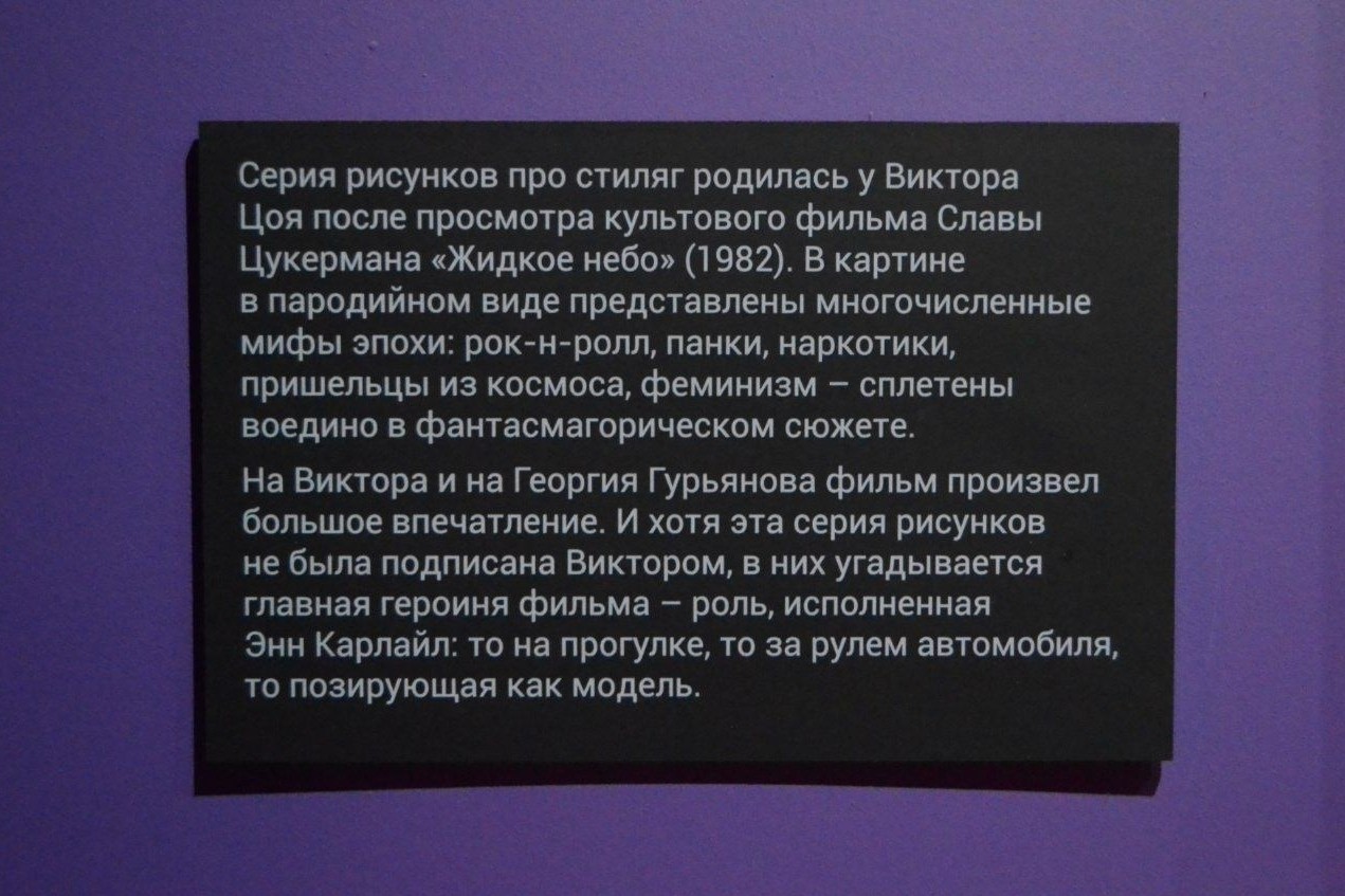 кошка ТЕОРЕМА в LOOKY — фото 6