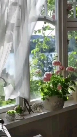 ВОЛК СЕРЫЙ в LOOKY — 🌞❤️🔥 С ДОБРЫМ УТРОМ МОИ ДОРОГИЕ ДРУЗЬЯ ПРЕКРАСНОГО ВАМ НАС