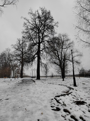 krasniiy_krokodil в LOOKY. . [#зима ](зима)[#пейз...