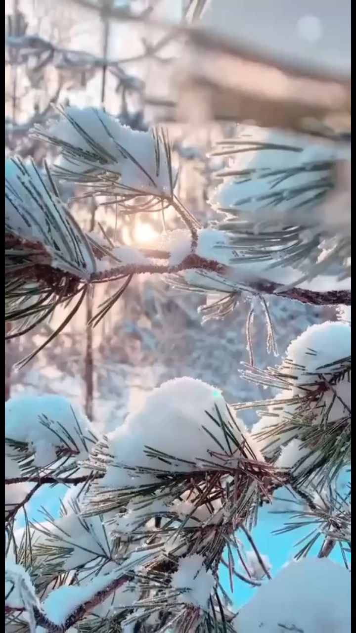 Ирина в LOOKY. . 