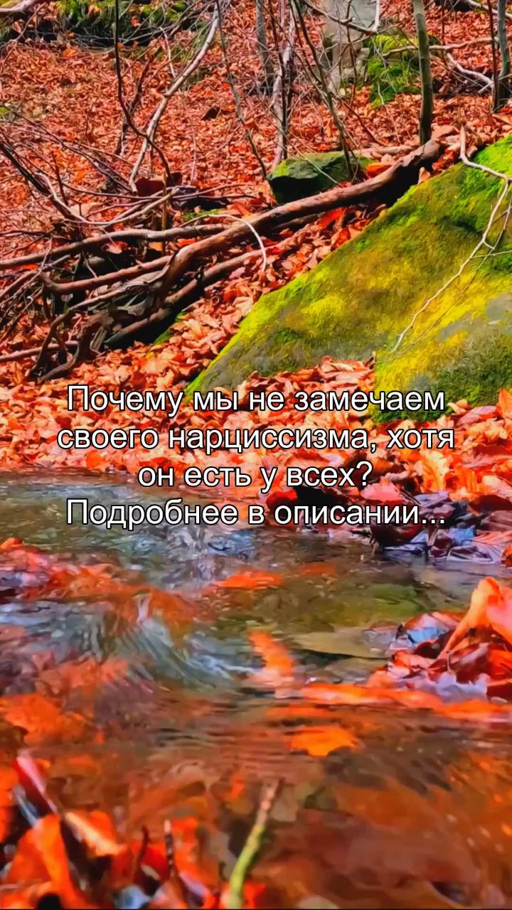 artem_areels в LOOKY. #нарциссизм,#самопознание,#психология,#признание,#осознанность. Ты думаешь, что нарц...