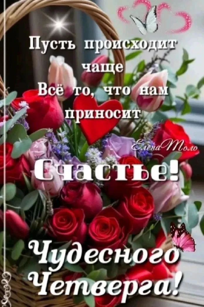 Сириус в LOOKY — публикация