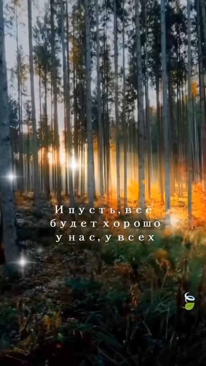 Looky_178280661869769 в LOOKY. . 