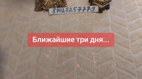 svetlanazaryanova1 в LOOKY. . 