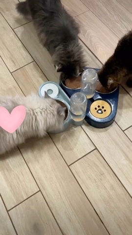 taik19.12.19 в LOOKY. . Удачи и здоровья 😻�...