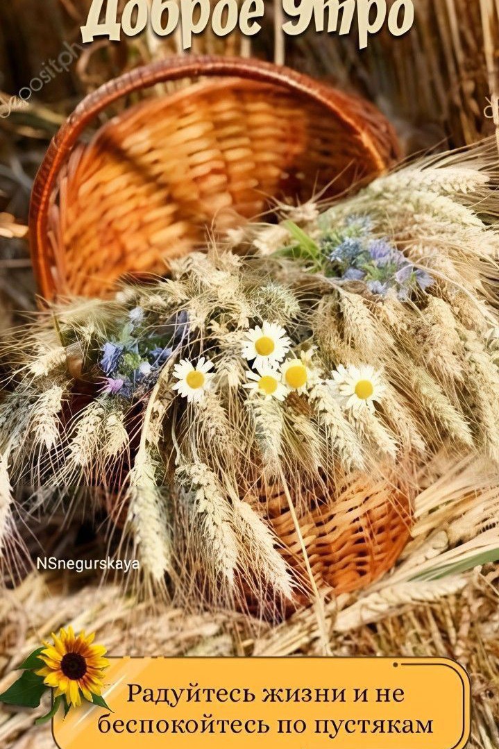 Корнева Марина