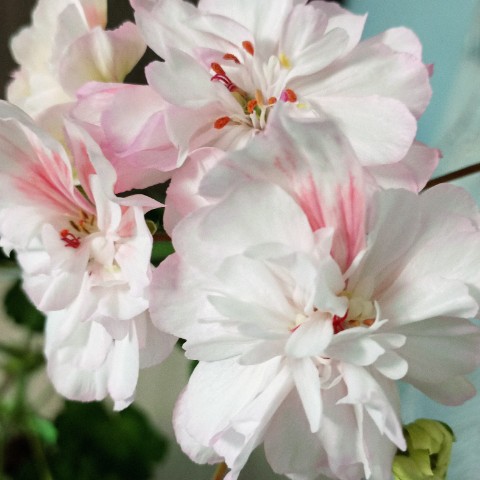 Looky_1697378720975 в LOOKY. . 