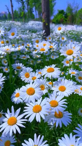 natasha.chuprova2018 в LOOKY. . Доброе утро!🌞

🦋 М...