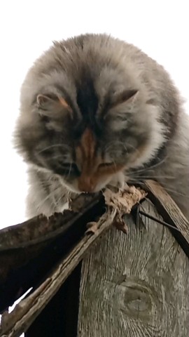 Оксана in LOOKY. . С добром отдохнуть �...