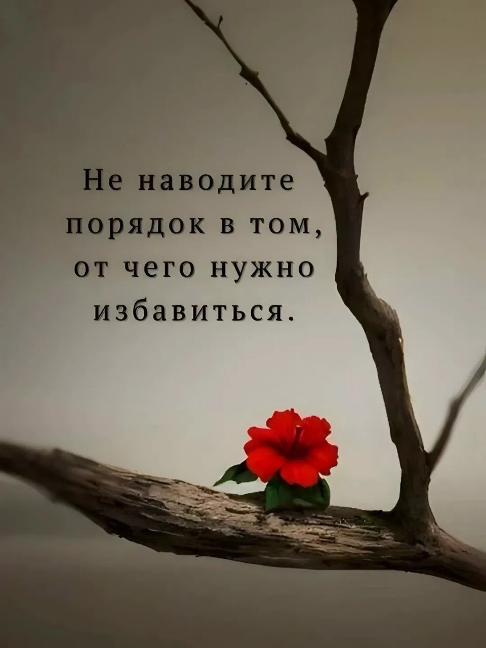 Оля в LOOKY — публикация