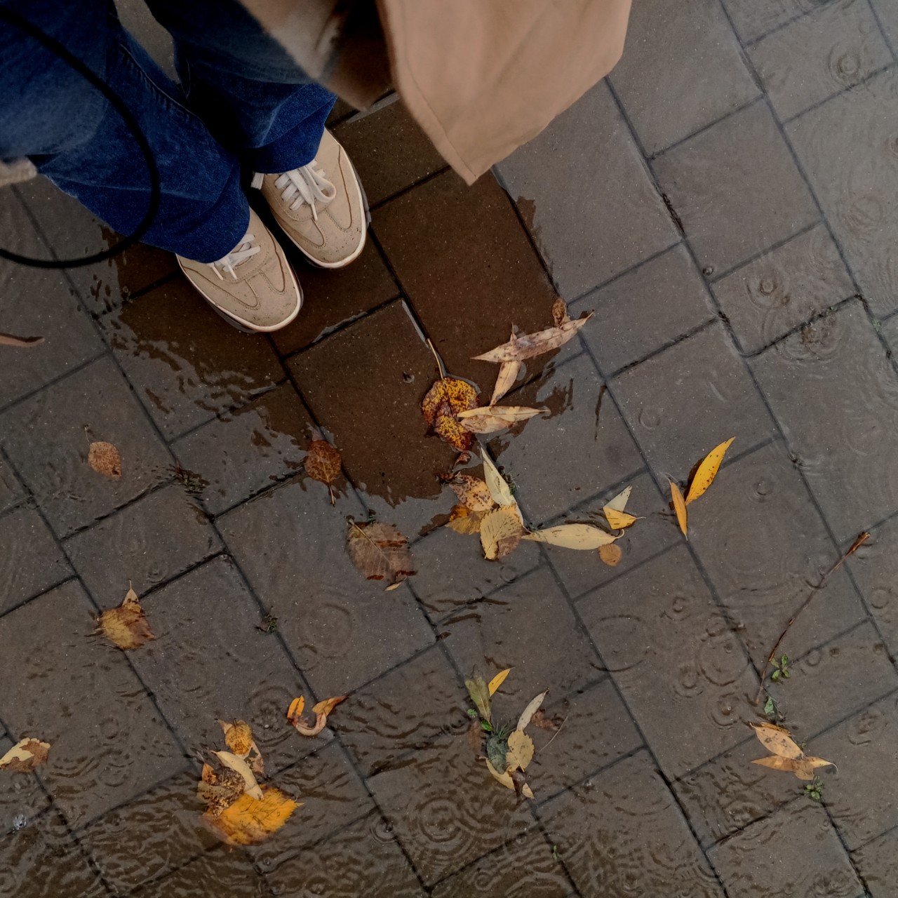 dinazavrik.0_0_ в LOOKY — Осень 🍁 🌧️