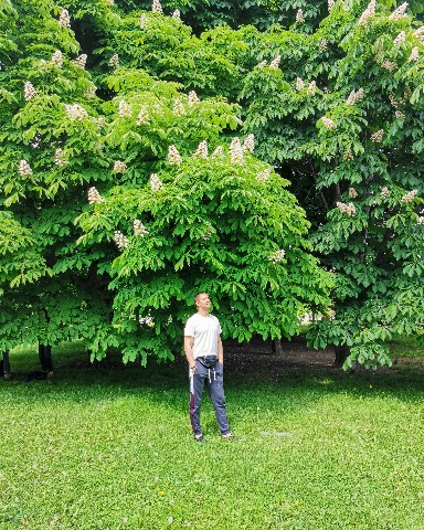Korzhik в LOOKY. #зелень,#природароссии,#всёнапять,#summer,#beautiful. 🌳🧍🏻‍♂️Научите дел...