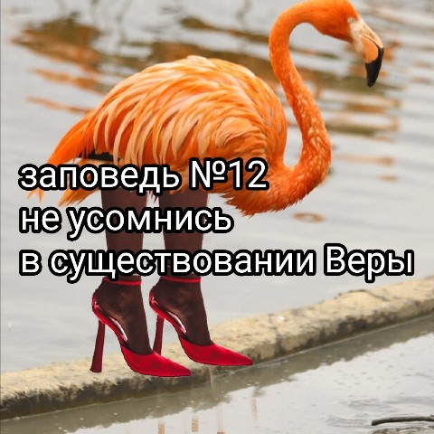 LCA в LOOKY. . 