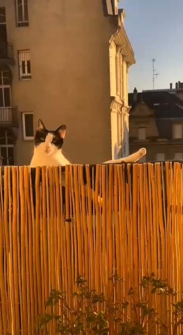Хорошего вечера 🥰