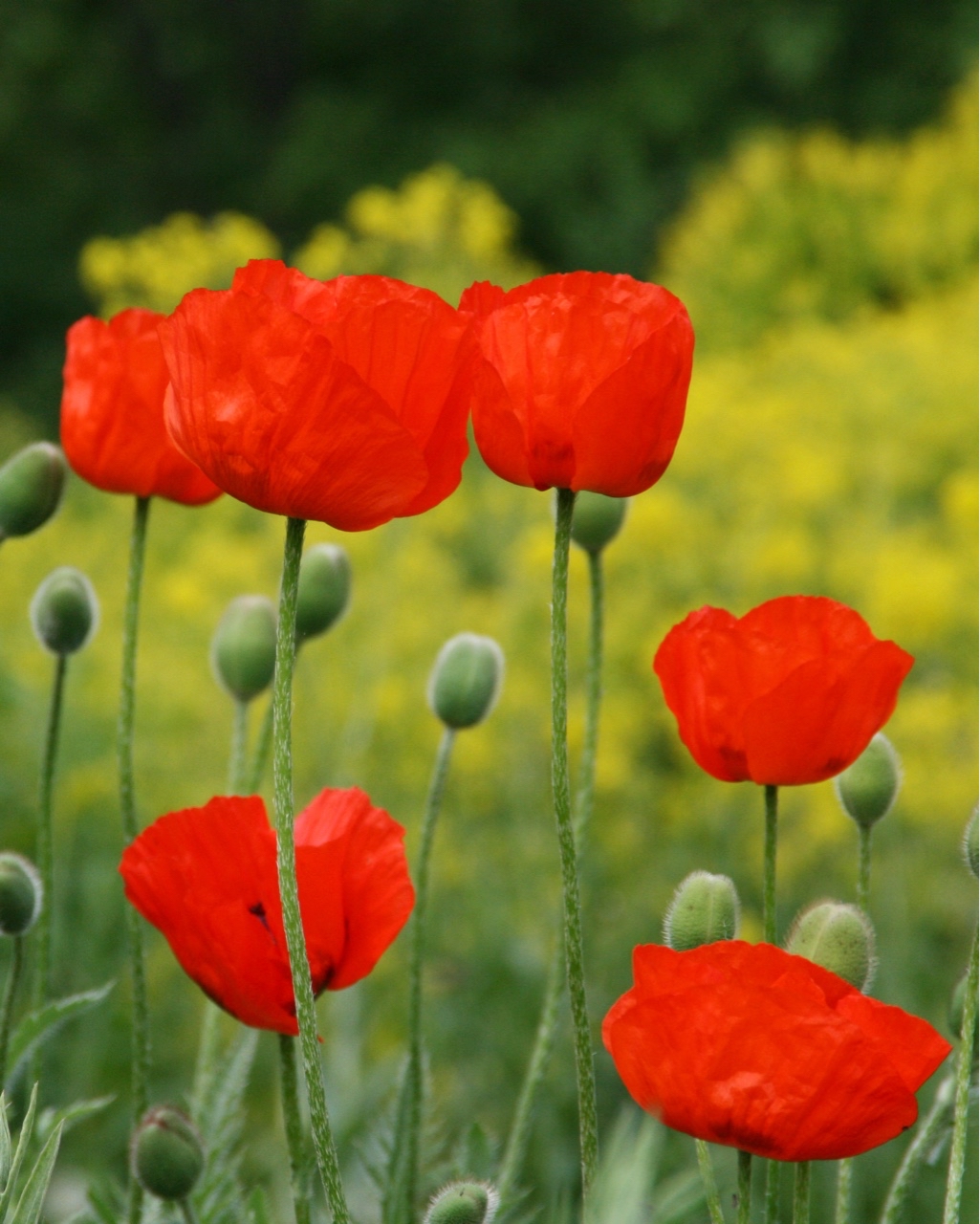 yuriy23 in LOOKY
