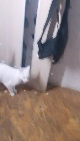 Kitty в LOOKY. . Заряжаем энергией по...