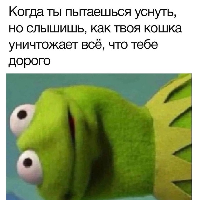 мемная комната в LOOKY — публикация