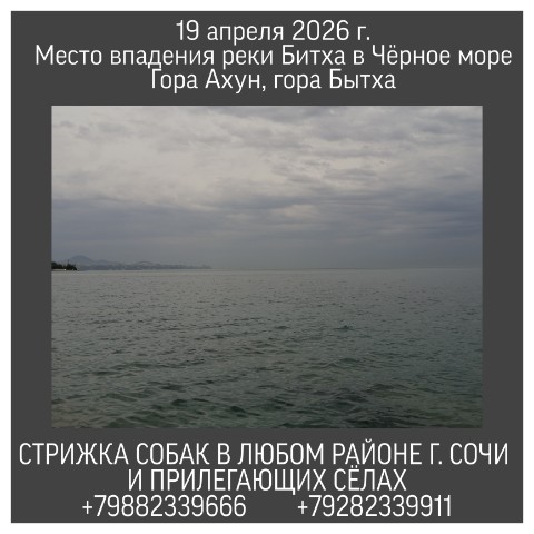 Looky_1676317000260 в LOOKY. #путьнаработу,#весна,#Сочи,#Ахун,#море,#рекаБитха,#гораБытха,#стрижкасобак,#стрижкасобакСочи,#санаторийБелыеНочи,#отельЛучезарныйРезорт,#Чёрноеморе,#санаторийИлона,#улДекабристов,#улСемашко. 19 апреля 2026 г.
Ме...