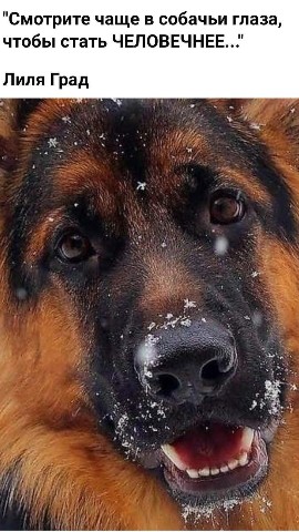 Looky_1689564190874 в LOOKY. . 