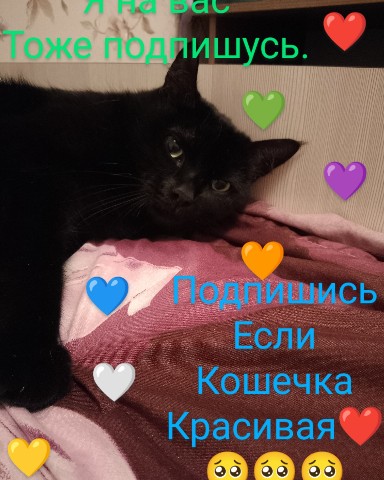 Настя в LOOKY. . 