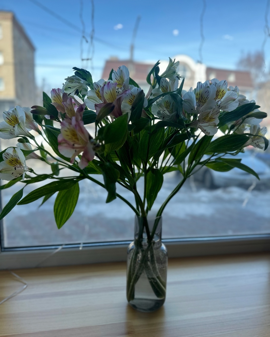 nalivaychenko_manikur