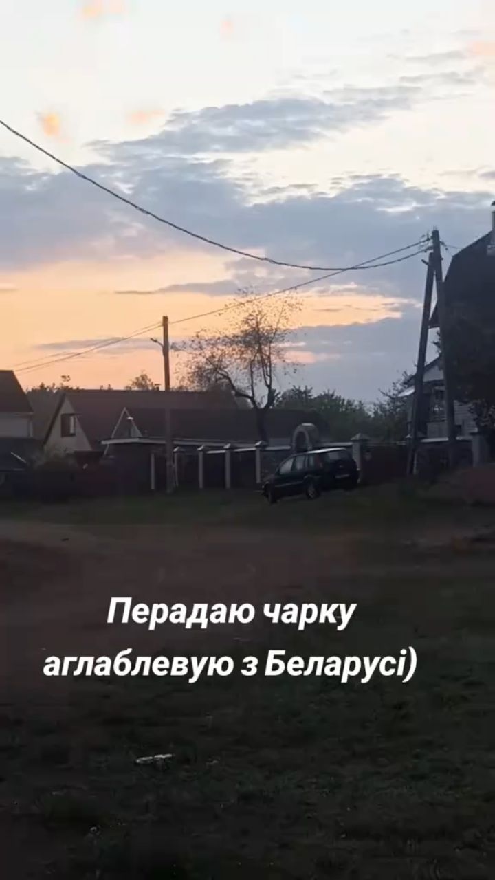 Looky_1720265127202 в LOOKY. . Такие песни поют бел...