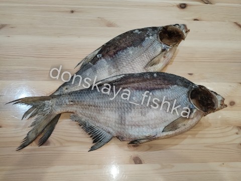 donskaya_fishka в LOOKY. #спб,#лещвяленый,#санктпетербург,#78регион,#178регион,#61регион,#вяленаярыба,#98регион,#вяленыйлещ,#ростовнадону. 🌍РЫБКА ОТПРАВЛЕНА В...