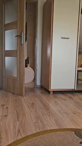 natasha.chuprova2018 в LOOKY — Когда немножко подрос 😎
