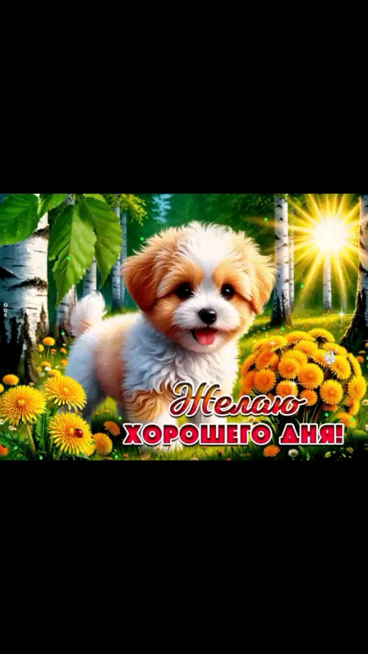 Любовь Александровна в LOOKY — публикация